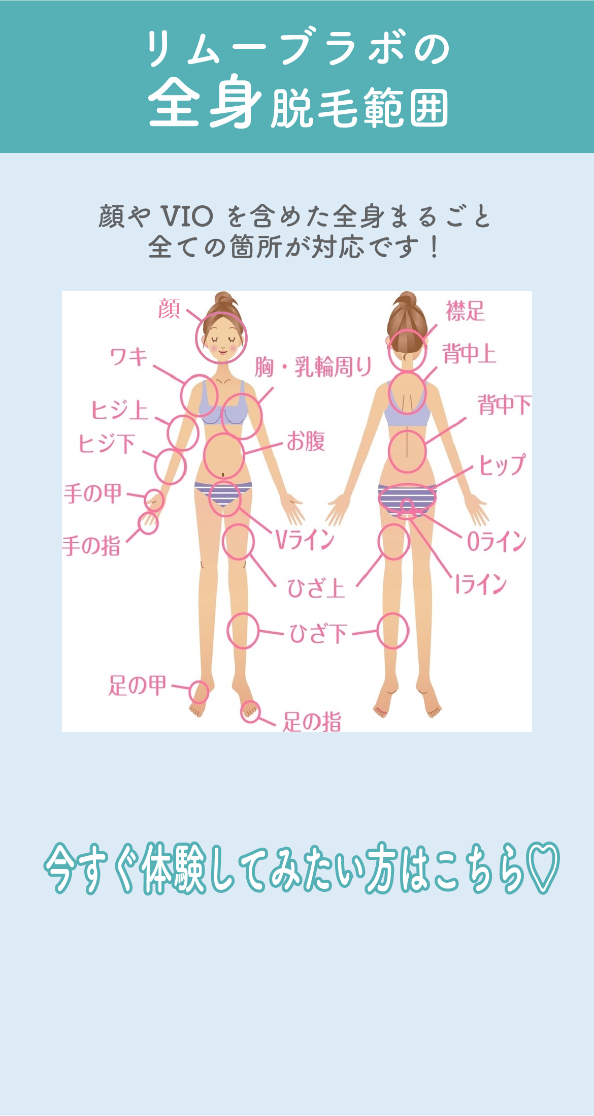 Remove Lab. -リムーブラボ- リムーブラボの全身脱毛範囲 顔やVIOを含めた全身まるごと全ての箇所が対応です!